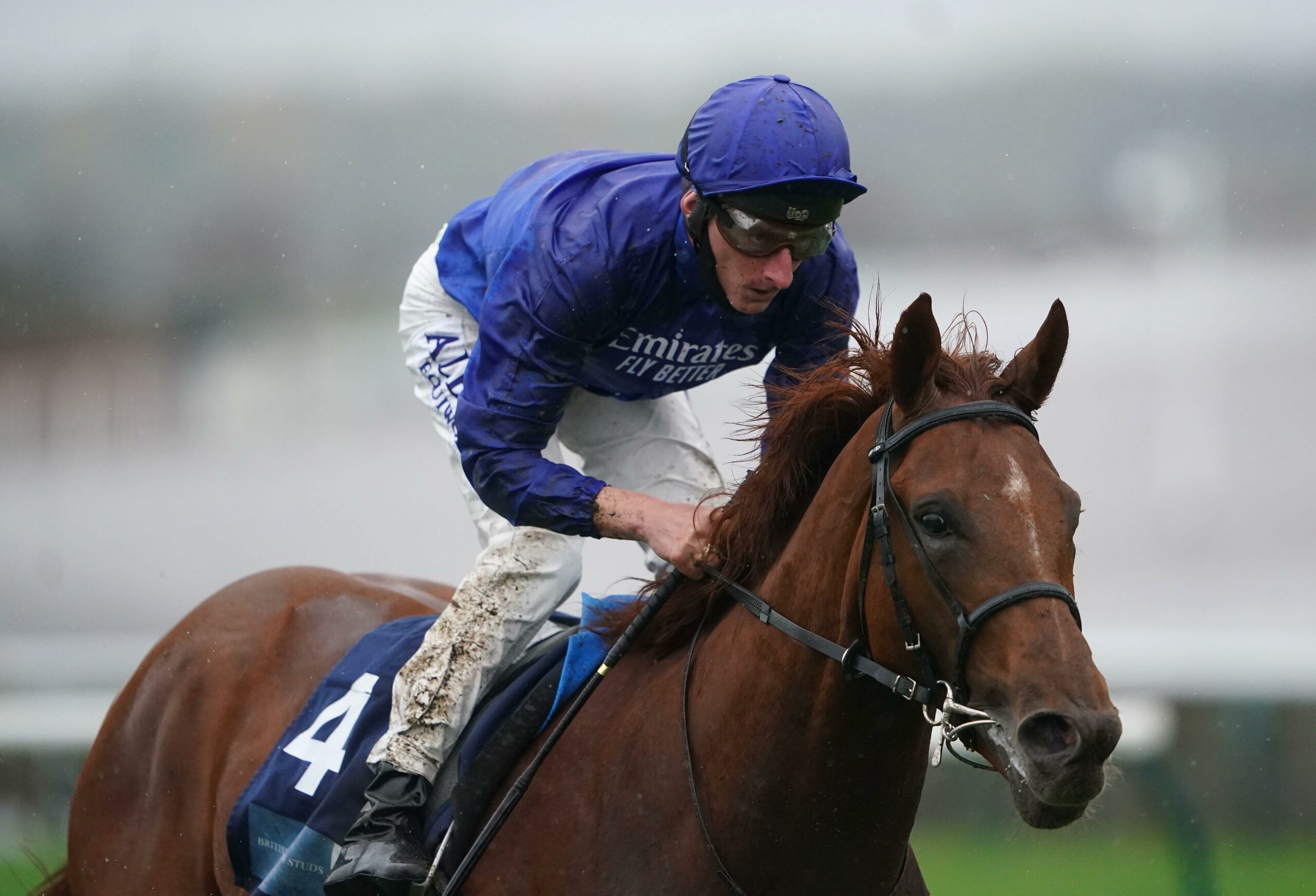 BIG RACE PREVIEW: St Leger Stakes