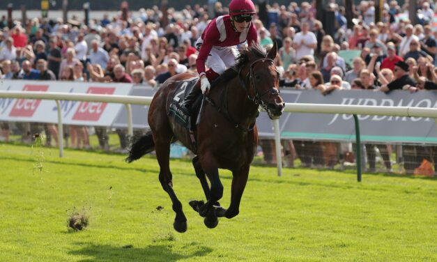 BIG RACE PREVIEW: Qipco Champion Stakes