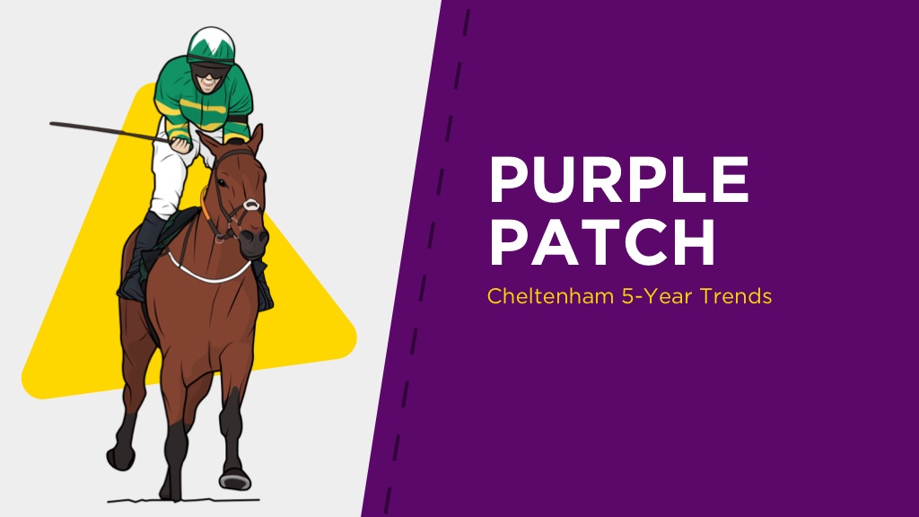 PURPLE PATCH: Cheltenham Jockey & Trainer Trends Over Last 5 Years