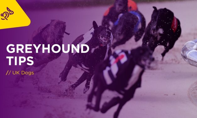 GREYHOUNDS: English Derby Saturday Tips