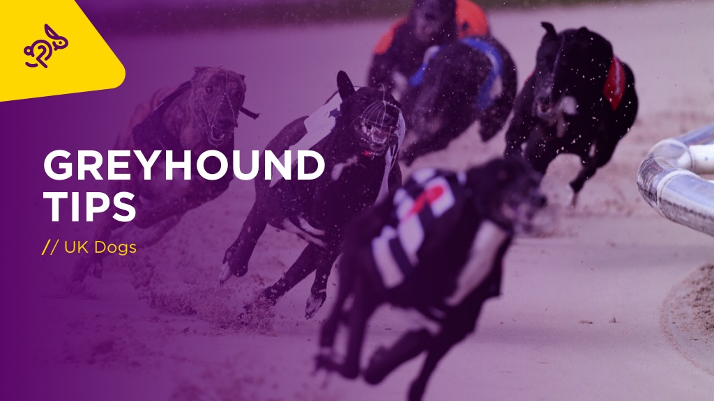 GREYHOUNDS Thurs: Two To Follow