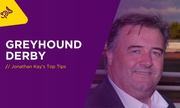 JONATHAN KAY: Guide To English Greyhound Derby 2022