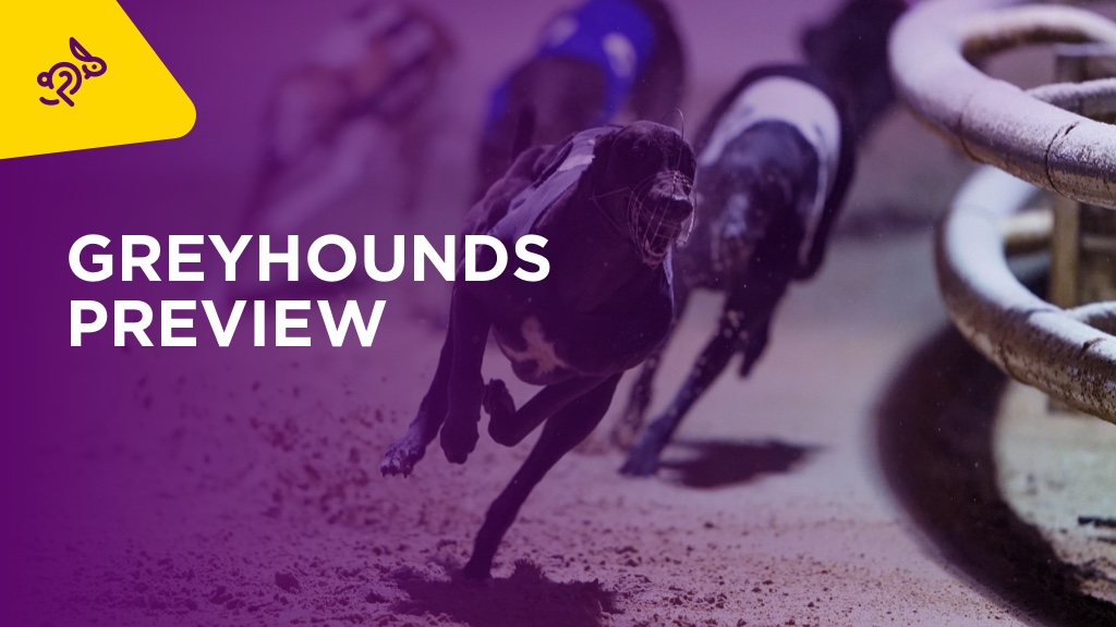 GREYHOUNDS: Magical Mary Odds On To Take Mullingar Showpiece