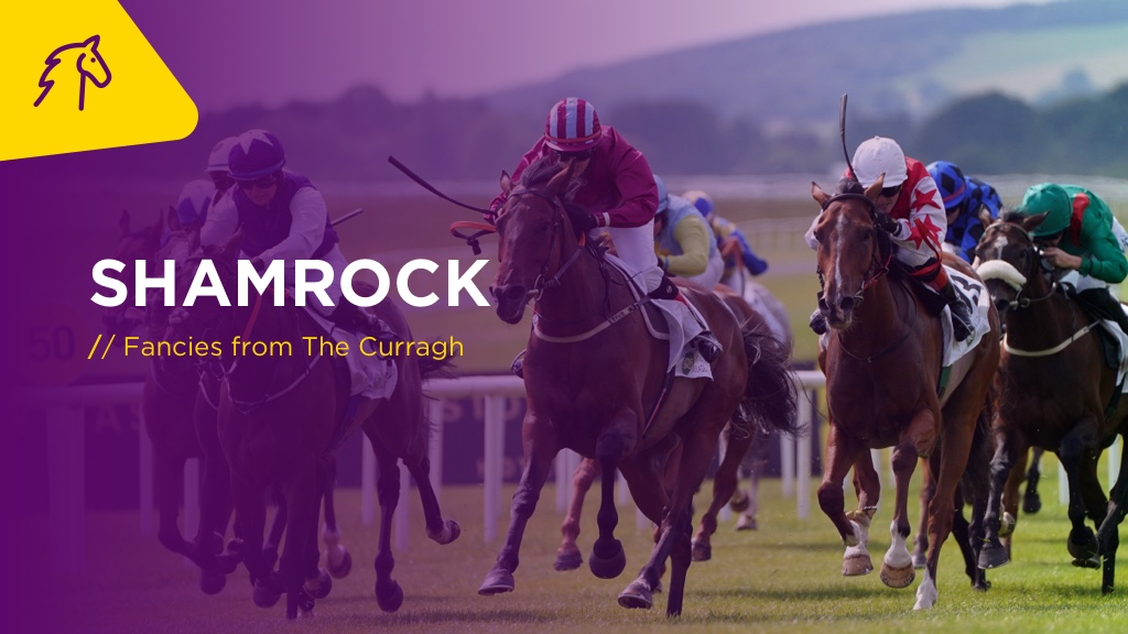 SHAMROCK Sat: Our fancies at The Curragh
