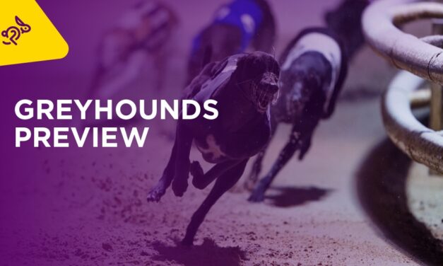 GREYHOUNDS Sat: Irish Greyhound Derby Quarter Finals