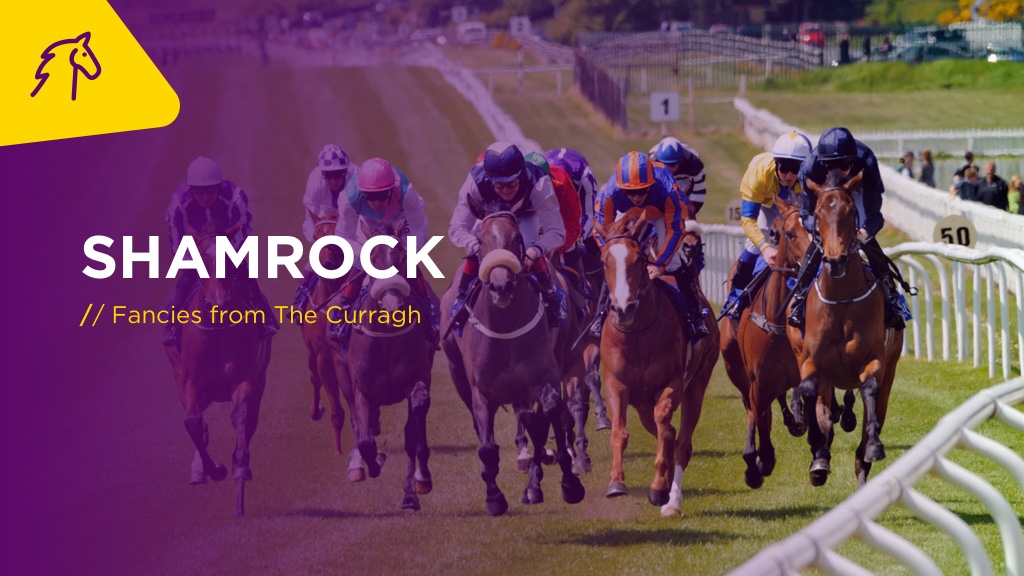 SHAMROCK: Fancies From The Curragh