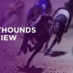 GREYHOUNDS: Weekend Preview with BARRY CAUL