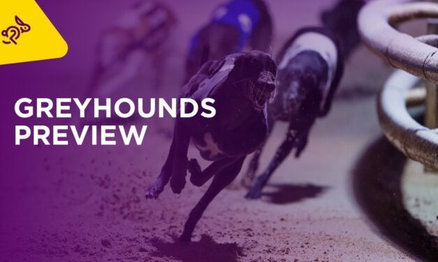 GREYHOUNDS: Weekend Preview
